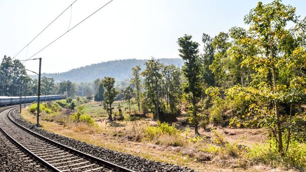 Vonat Journey in India egy hipnotizáló vasúti pályák a Konkan vasút. Festői vonat futó sűrű erdők oldalán a nyugati Ghatok éles kanyarban a buja zöld kilátással és gyönyörű táj. - Fotó, kép