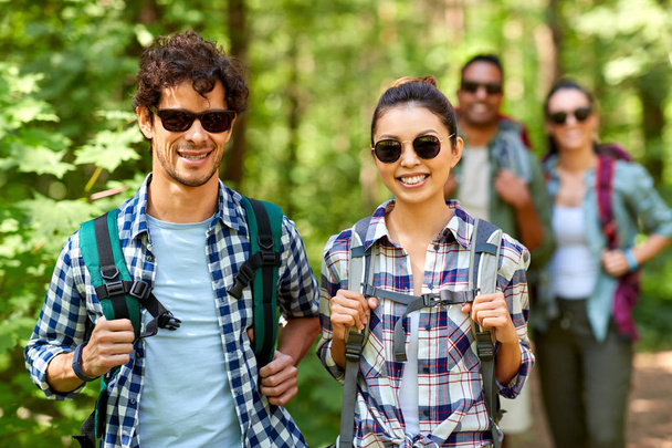 grupo de amigos com mochilas caminhadas na floresta - Foto, Imagem