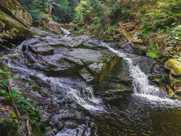 Rzeka Ilse przepływająca przez las w parku narodowym gór Harz w Niemczech - Zdjęcie, obraz
