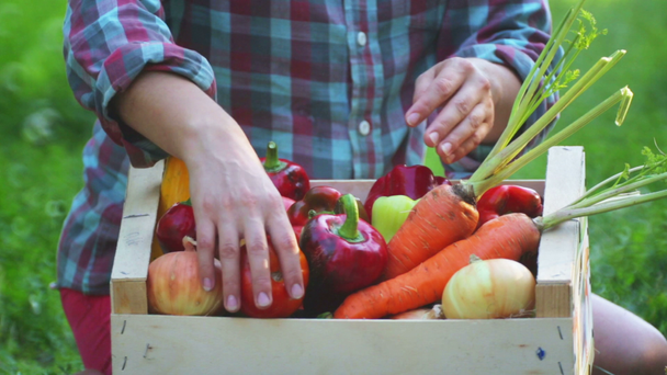 Las manos de niña sostiene una caja con verduras frescas. Verduras frescas en una caja en las manos de una joven
. - Imágenes, Vídeo
