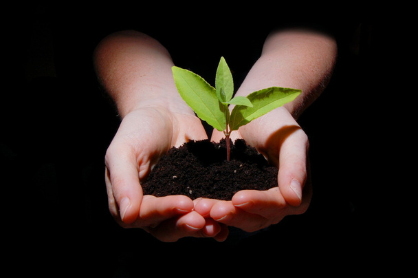 Hände Erde und Pflanze zeigen Wachstum - Foto, Bild