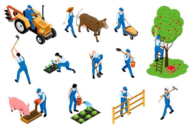  Набор изометрических иконок для фермеров
  - Вектор,изображение