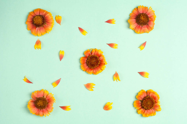 Composición de flores y pétalos de color naranja sobre un fondo de menta
.  - Foto, Imagen