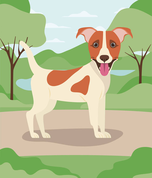 aranyos Jack Russell-terrier kutya kisállat a táborban - Vektor, kép