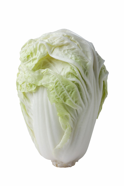 Chinese cabbage - Photo, Image