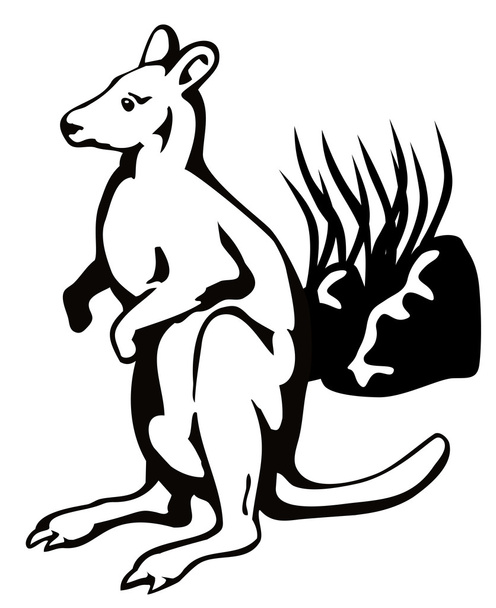 wallaby - Vektor, obrázek