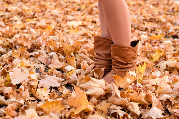 Kobiece nogi w brązowych butach. Żółte liście pod stopami. Koncepcja Jesienna - Zdjęcie, obraz
