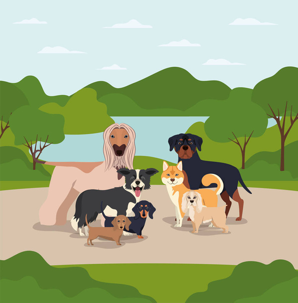 grupo de perros mascotas en los personajes del campamento
 - Vector, imagen