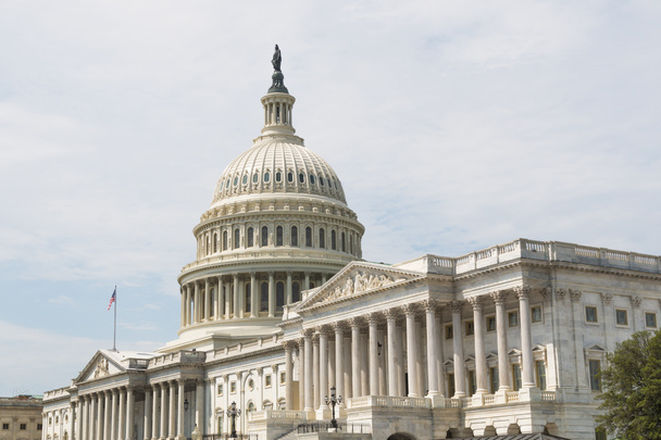 Здание Капитолия США, обращенное на восток, дом Конгресса, и расположенное на вершине Капитолийского холма в восточной части Национального торгового центра в Вашингтоне, округ Колумбия
.  - Фото, изображение