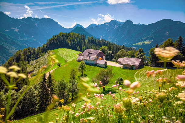 Hegyvidéki tájak, szlovén Alpok tanyával, virágzó rétekkel - Fotó, kép