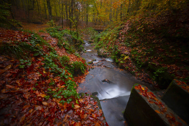 Parque Nacional Sevenlakes en otoño Bolu Turquía. Parque Yedigoller Milli
 - Foto, imagen