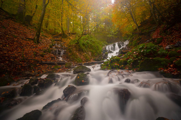 Sevenlakes National Park in Autumn Bolu Turkey. Yedigoller milli park - Photo, Image
