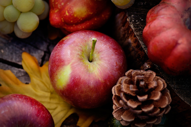 Autumn fruit - Фото, изображение