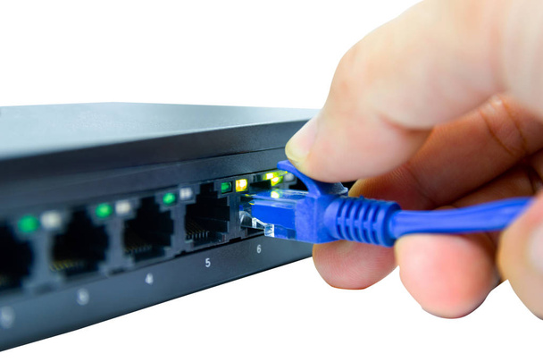 Синие сетевые кабели для подключения порта Лан
  - Фото, изображение