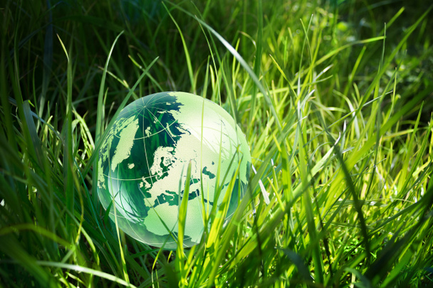 Globo verde en hierba
 - Foto, imagen