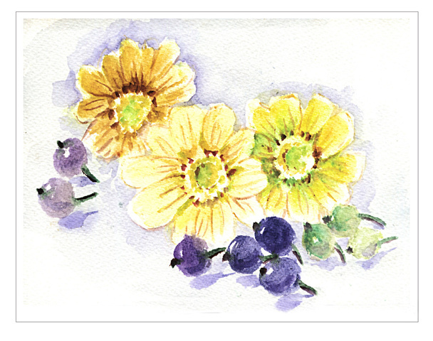Orginal watercolor flowers - Fotografie, Obrázek