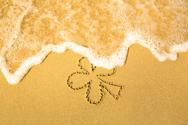 Clover leaf (concept: St. Patrick Day) - geschreven in het zand op het strand texture - zachte Golf van de zee - Foto, afbeelding