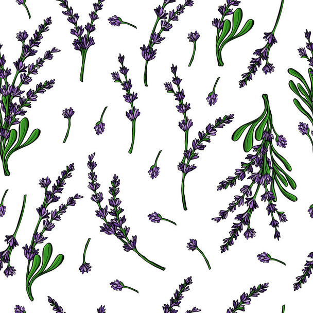 Botanical vector seamless pattern background with lavender flowers and branches. Perfect for wallpapers, web page backgrounds, surface textures, textile. - Wektor, obraz