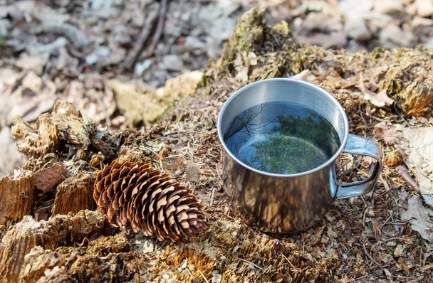 metalen kopje water op een stomp in het bos - Foto, afbeelding