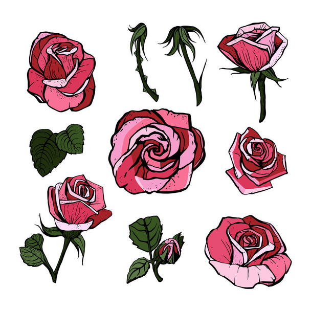 Készlet Rózsa, rózsaszín, piros virágok és bimbók, zöld levelek fehér alapon, digitális felhívni illusztráció, gyűjtemény design, vektor művészet. - Vektor, kép