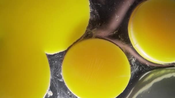 El cocinero rompe los huevos en el plato de vidrio, yemas de huevo, hacer la masa, tortilla de cocina y huevos fritos, Full HD Prores 422 HQ
 - Metraje, vídeo