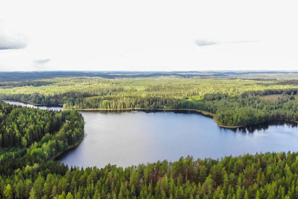 Aerial view of blue lake and green forests on a summer day in Finland. Drone photography - Foto, immagini