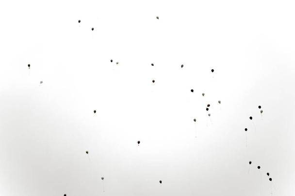 Foto en blanco y negro de globos de helio volando en el cielo gris de vacaciones
. - Foto, Imagen