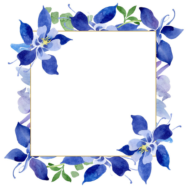 Niebieski Aquilegia kwiatowy kwiatów botanicznych. Akwarela zestaw ilustracji tła. Obramowanie ramy ornament kwadrat. - Zdjęcie, obraz