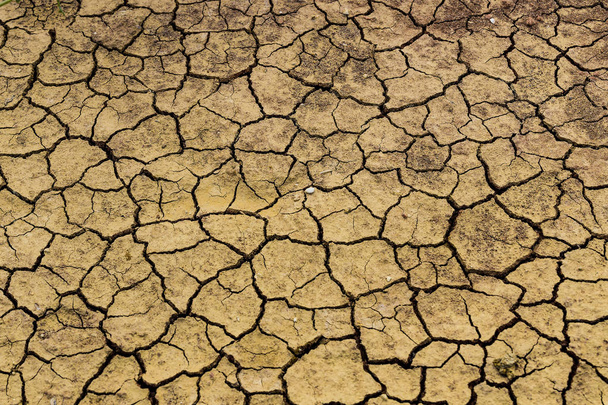Σπασμένη γη σε σοβαρή ξηρασία του πλανητικής υπερθέρμανσης του πλανήτη. - Φωτογραφία, εικόνα