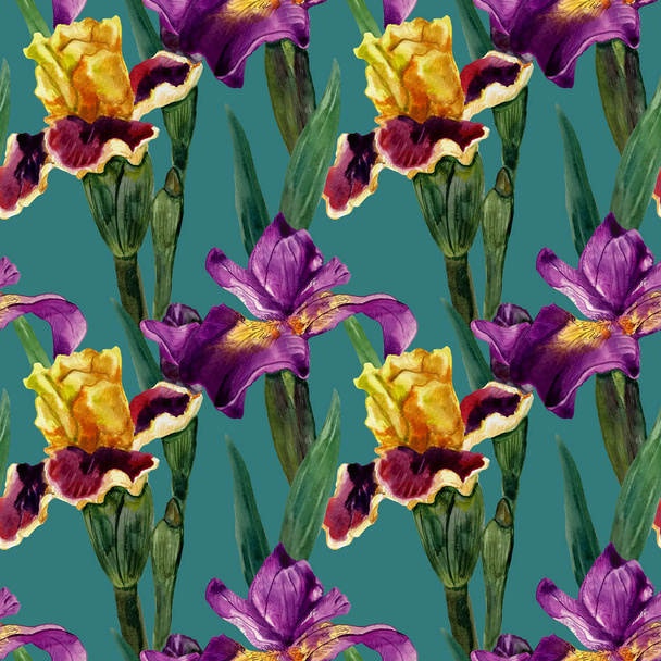 Watercolor irises on a dark background - Photo, Image