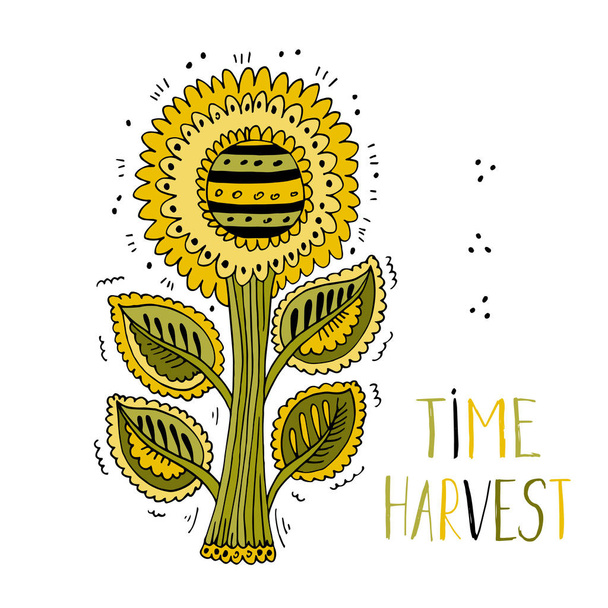 Tiempo de cosecha. Logo de girasol. Girasol dibujado a mano
 - Vector, Imagen
