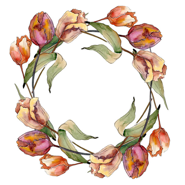 Czerwony fioletowy tulipan kwiatowy kwiatów botanicznych. Akwarela zestaw ilustracji tła. Obramowanie ramy ornament kwadrat. - Zdjęcie, obraz