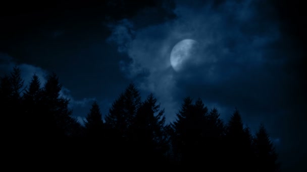 Large Full Moon Above The Forest - Footage, Video