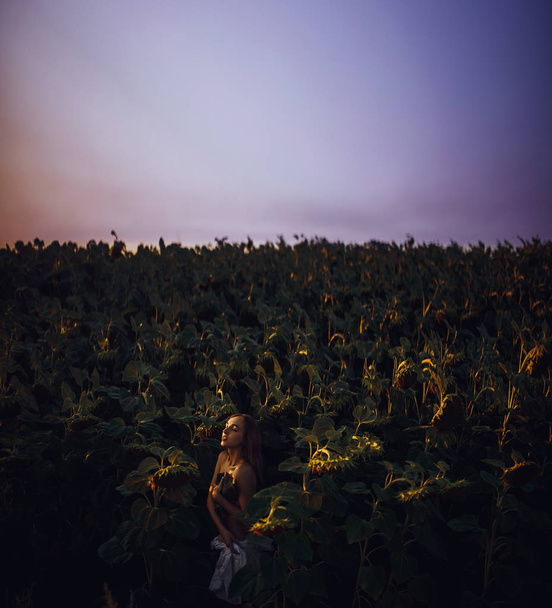 Mutlu kadın gün batımında ayçiçeği tarlasında yürüyor.. - Fotoğraf, Görsel