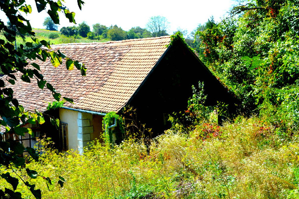 Typisch landelijk landschap en boerenhuizen in het dorp Alma VII (Almen) Transsylvanië, Roemenië. De nederzetting werd gesticht door de Saksische kolonisten in het midden van de 12e eeuw - Foto, afbeelding