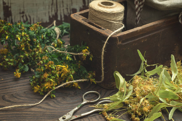 Drying medicinal plant, tutsan and linden - Foto, imagen