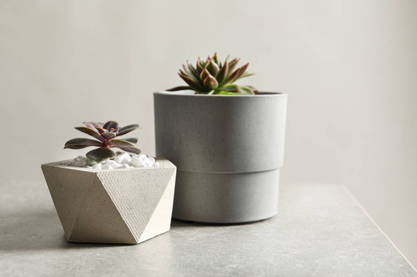 Beautiful succulent plants in stylish flowerpots on table against light background, space for text. Home decor - Foto, afbeelding