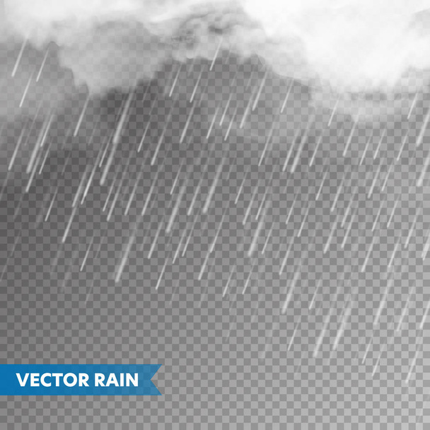 Realistische regen met wolken op transparante achtergrond. Regenval, water druppels effect. Herfst natte regenachtige dag. Vector illustratie. - Vector, afbeelding