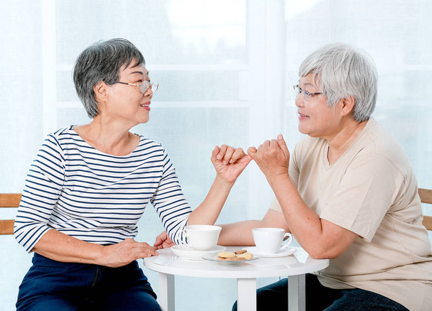 Δύο ασιατικές ηλικιωμένες γυναίκες γάντζο κάθε άλλα μικρό δάχτυλο μαζί με χαμογελαστά μπροστά από το μπαλκόνι στο σπίτι. - Φωτογραφία, εικόνα