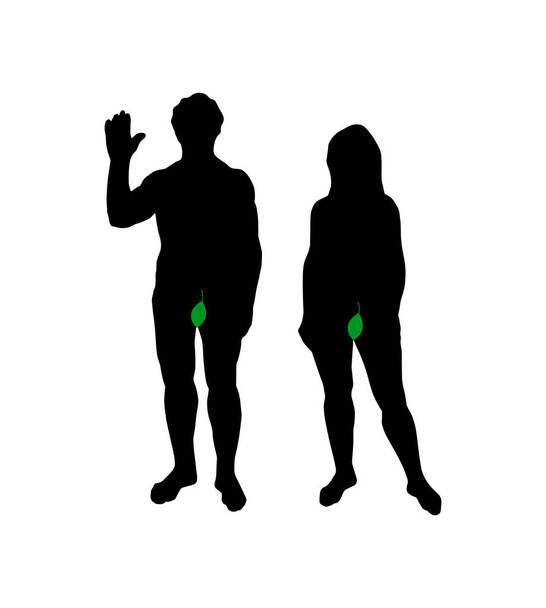 Adam en Eva silhouet op wit - Vector, afbeelding