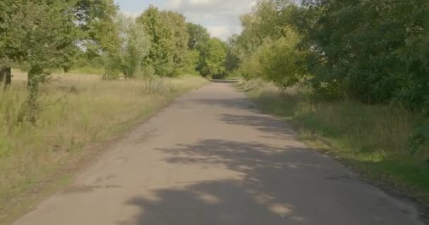 Driving along the road. The road in the forest - Footage, Video