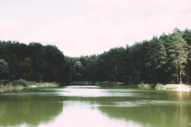 Прекрасне озеро біля соснового лісу
 - Фото, зображення