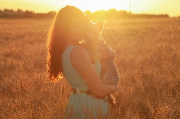 csinos lány tulajdonosa egy kis aranyos kutya a búza mező a naplementében - Fotó, kép