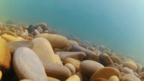 Подбирали камни со дна моря
 - Кадры, видео
