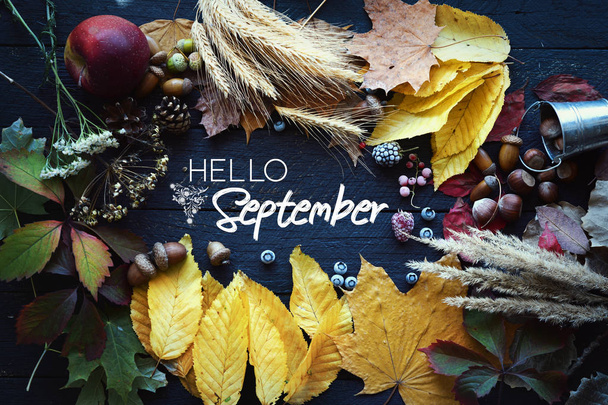 merhaba Eylül kartı, yapraktan Sonbahar kompozisyonu - Fotoğraf, Görsel