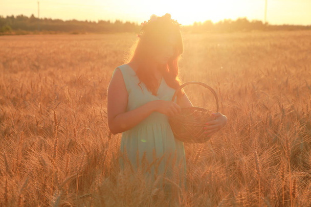 niña en vestido caminando en el campo de trigo maduro dorado al atardecer
 - Foto, Imagen