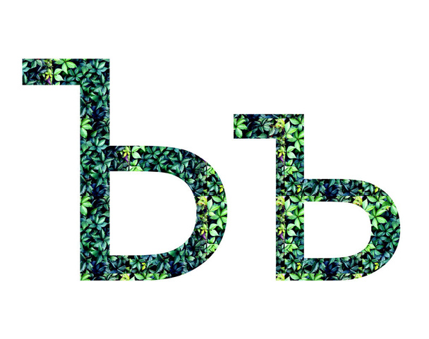 Русский шрифт из листьев, abc
 - Фото, изображение