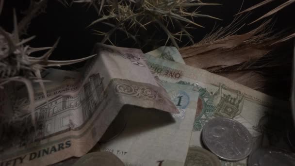 Pieniądze Arabskie. Papierowe pieniądze na stole. Monety Dinara na stole - Materiał filmowy, wideo