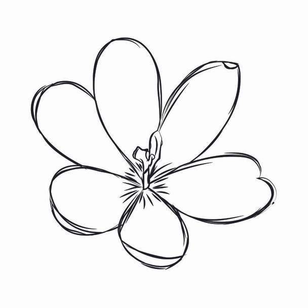 Abstract cute flower - Vector, Image