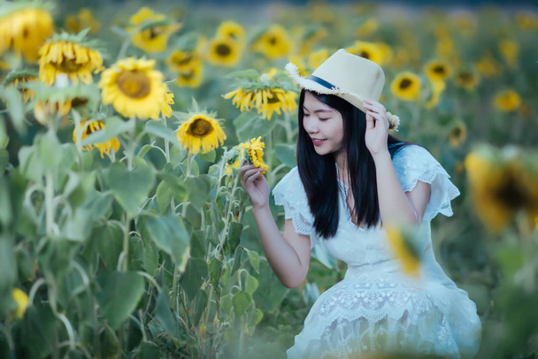 beautiful sexy woman in a white dress on a field of sunflowers,H - Foto, immagini